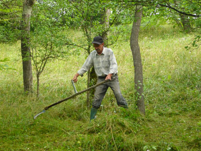Kézi kaszálás - lendül a kasza